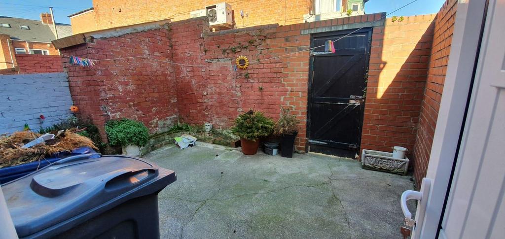 Back Yard 3.jpg