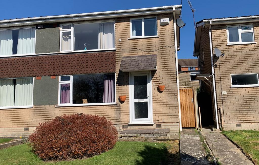 13 Barn Owl close