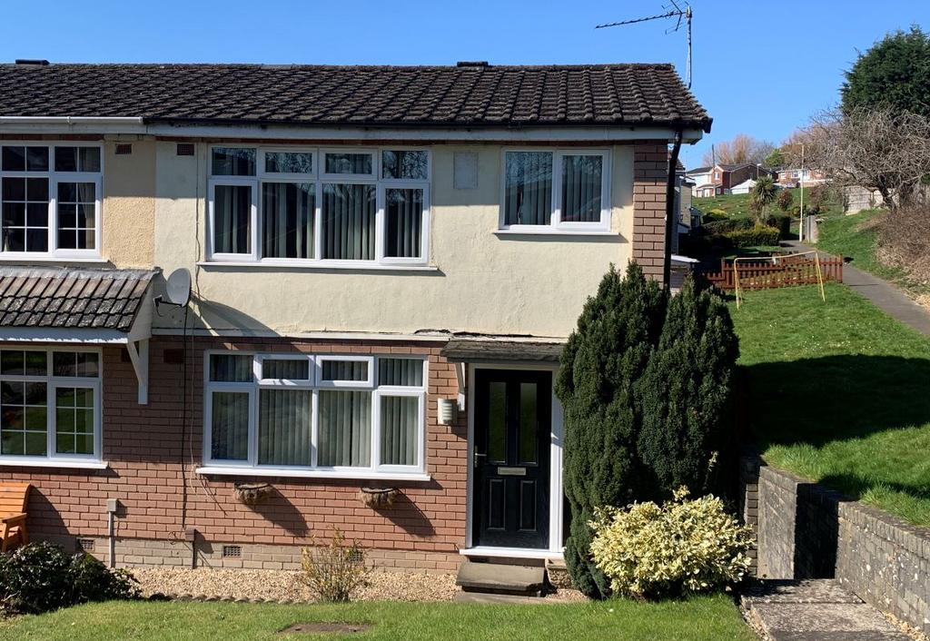 55 Barn Owl close
