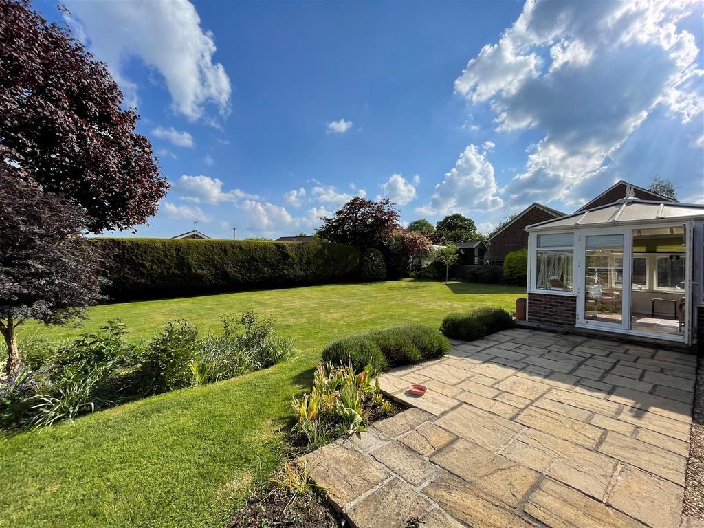 Rear Garden Summer '25