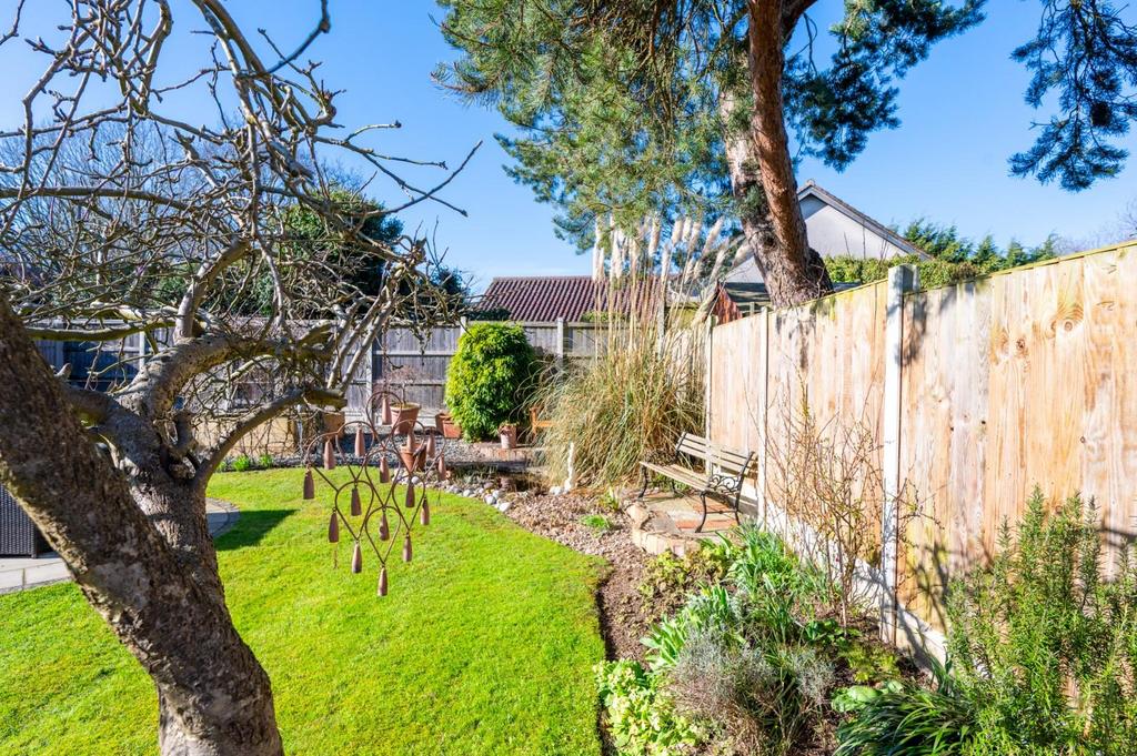 Garden 6
