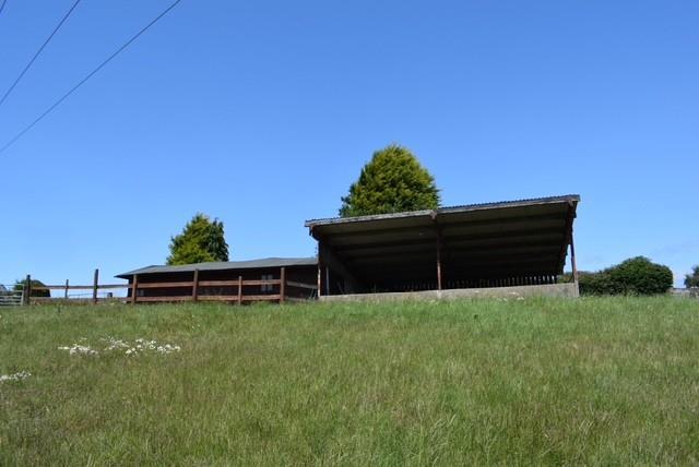 Pic 2.jpg