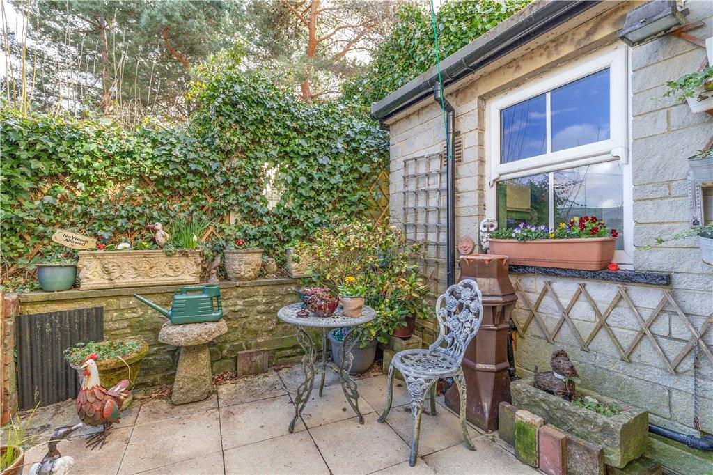 Rear Yard