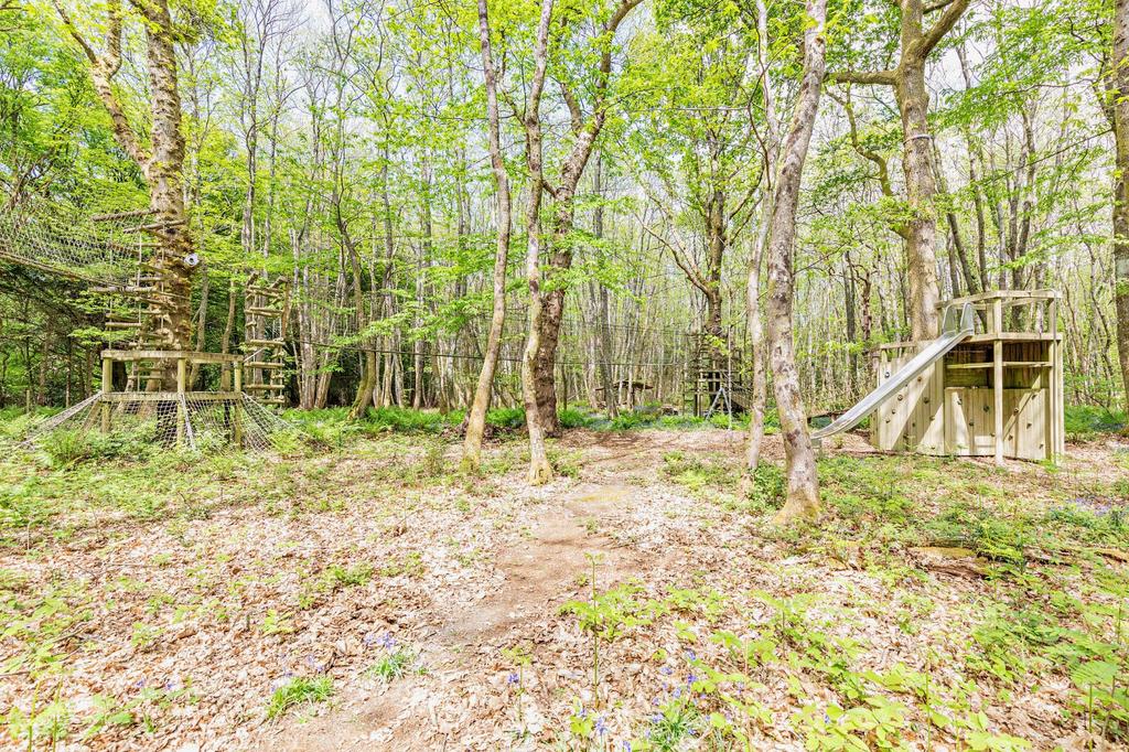 Woodland Activity