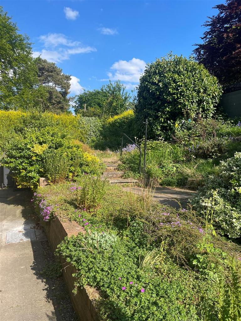 NEW GARDEN.jpg