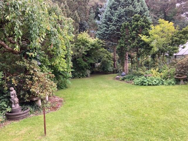 Thumbnail IMG 8840 garden 3.jpg