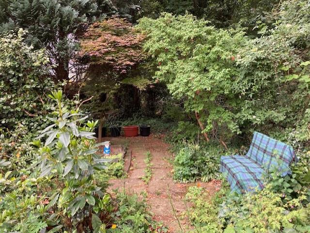 Thumbnail IMG 8846 garden 2.jpg