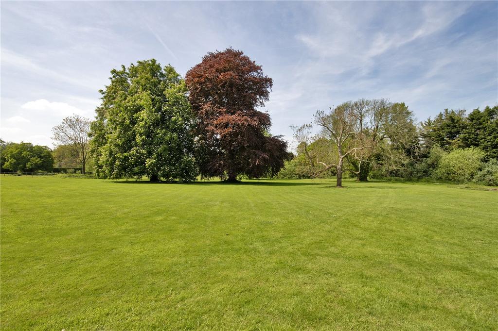 Grounds