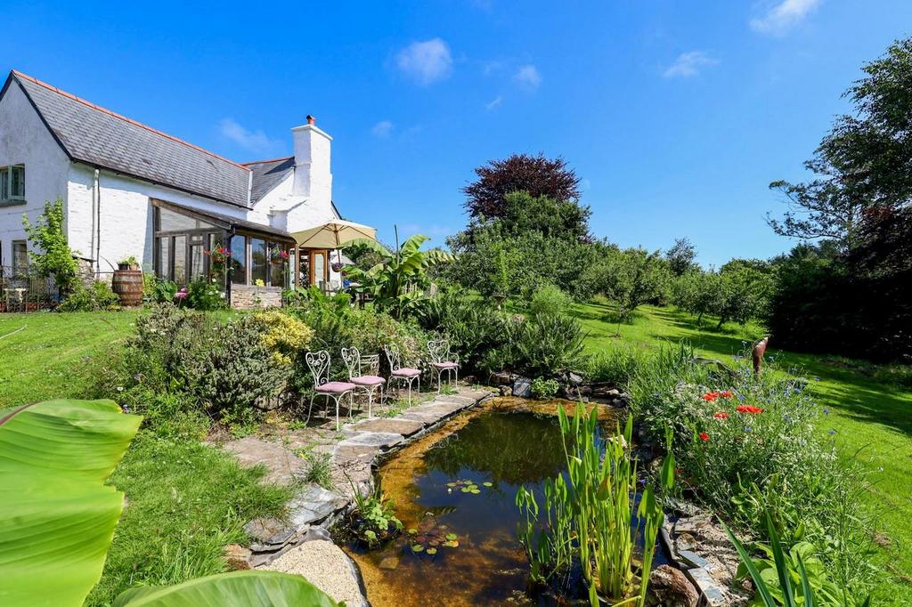 Radland garden.jpg