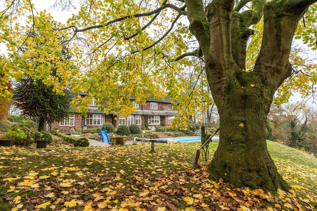 Summerhill-094.jpg