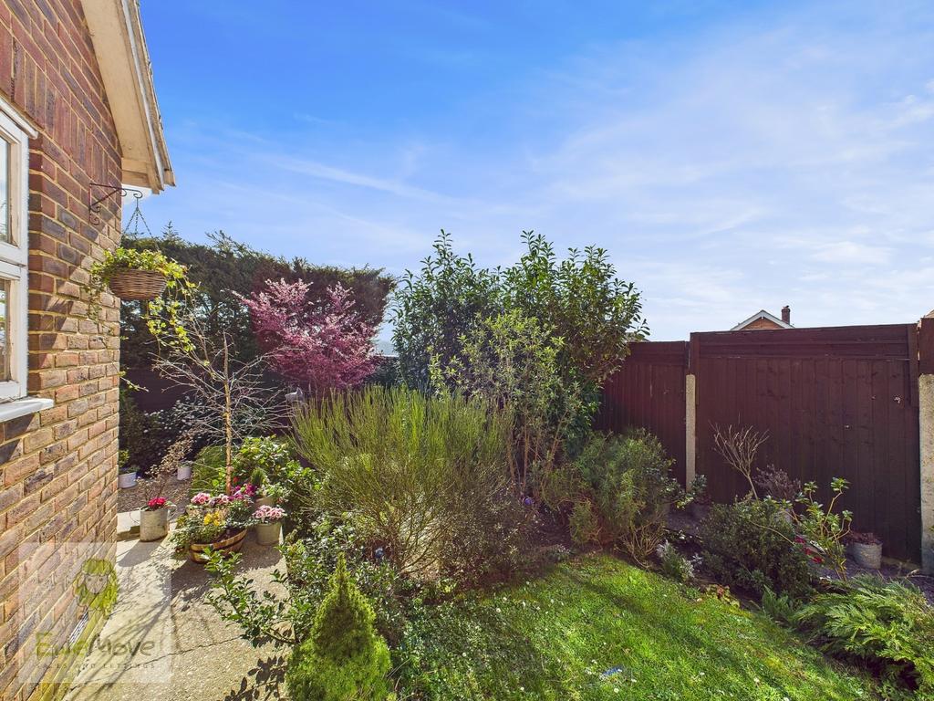Back Garden