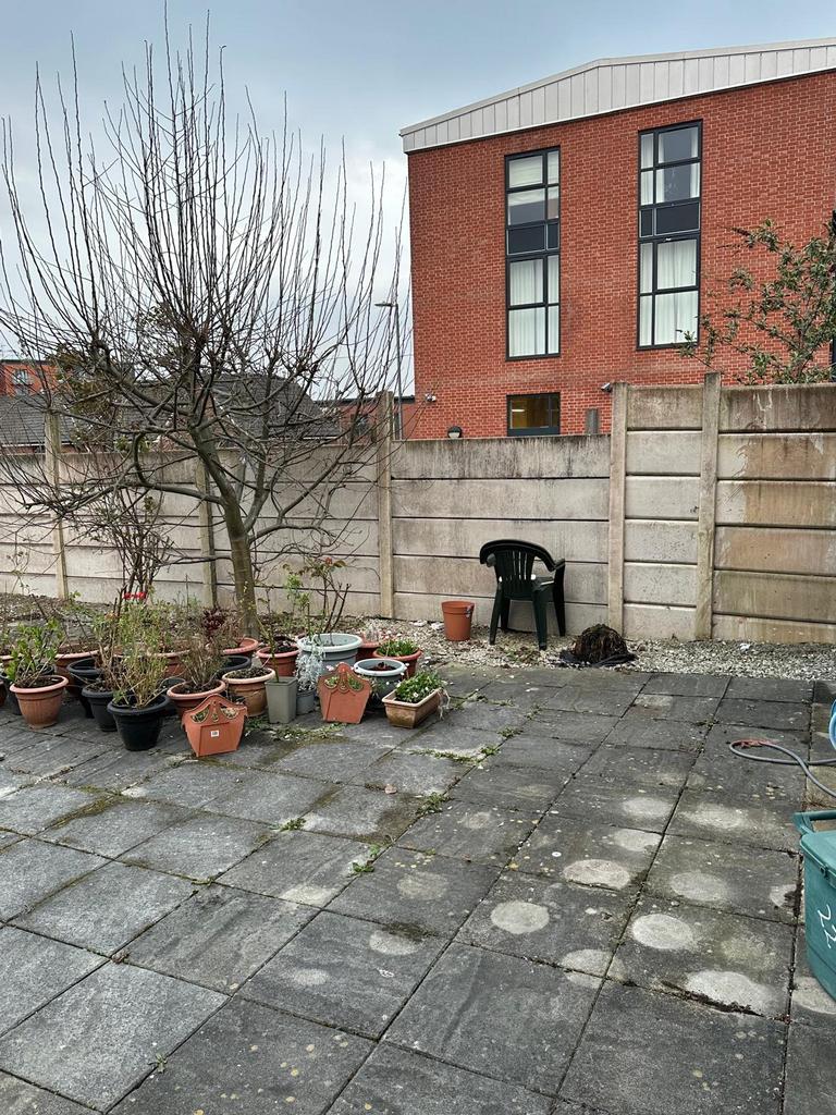 Rear Yard