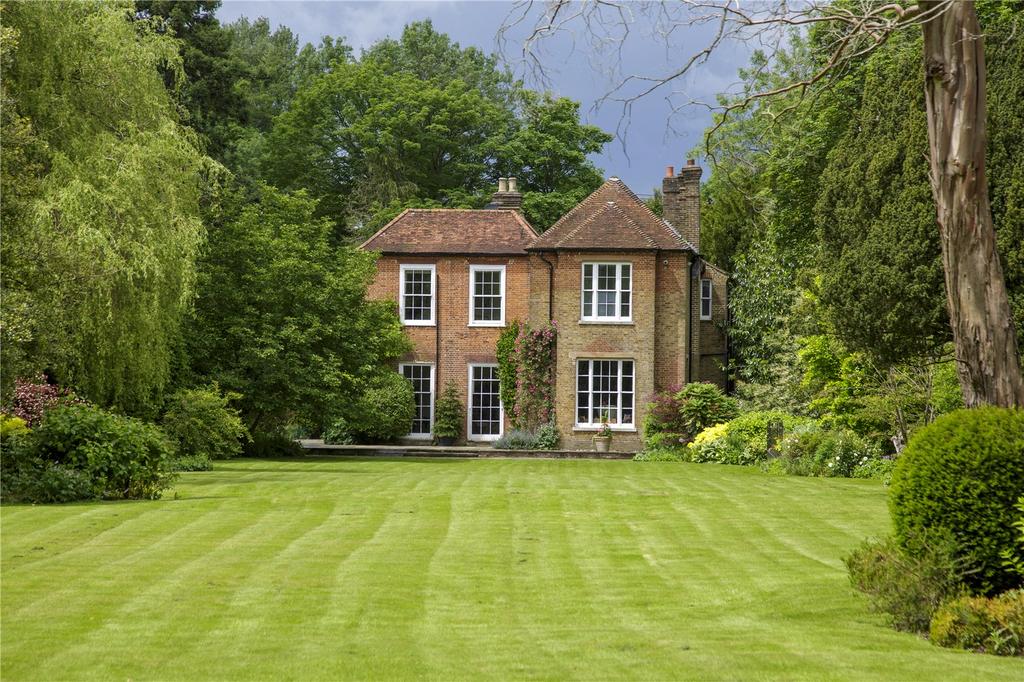 Rear Elevation
