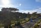 St. Helens Road, Hastings photo 3