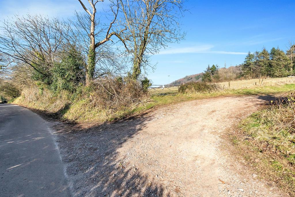 Hembury Hill.9.jpg