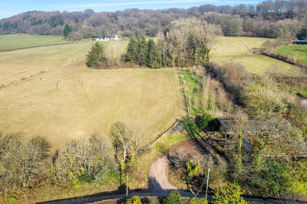 Hembury Hill.5.jpg