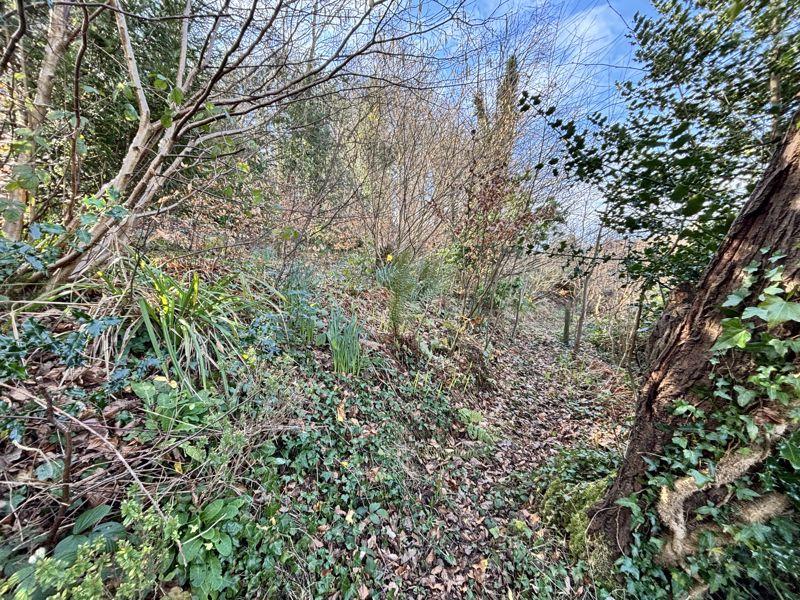 Woodland