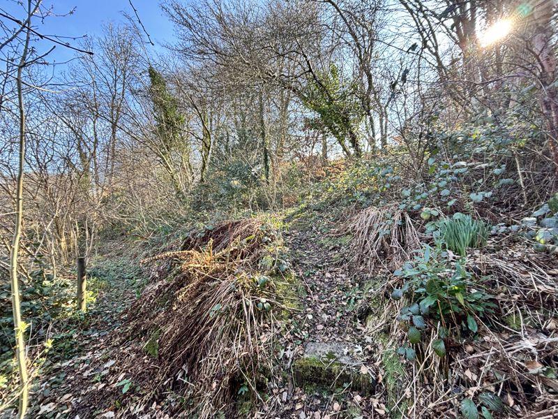 Woodland