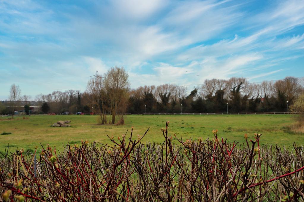 Surroundings