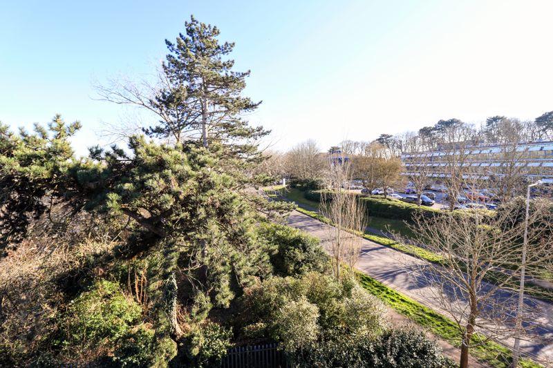 View From Window