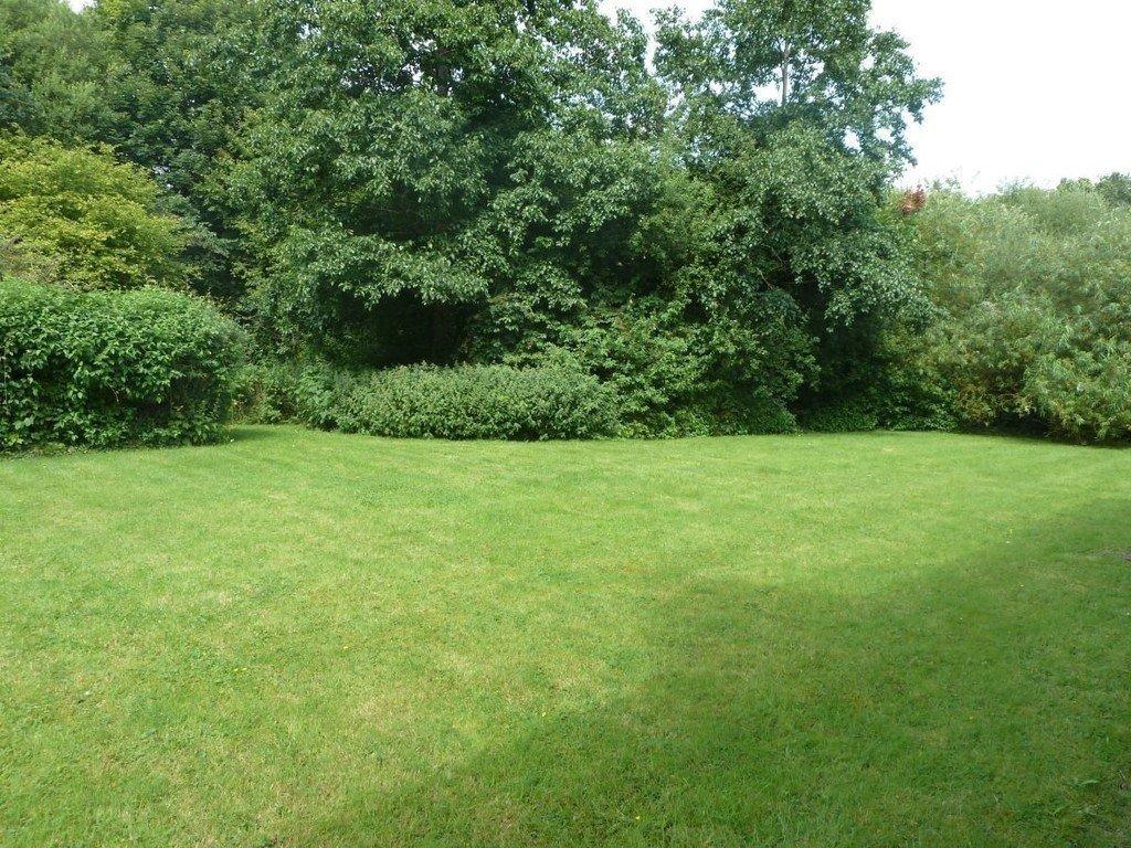 Photo 06