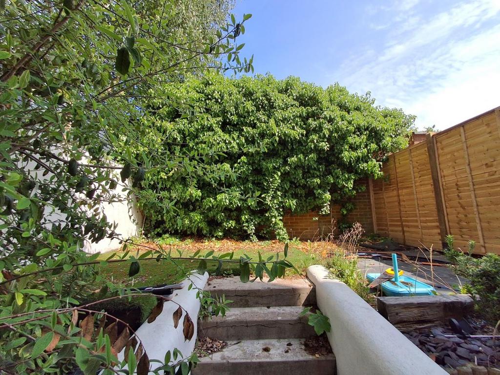 Pic 2 garden.jpg