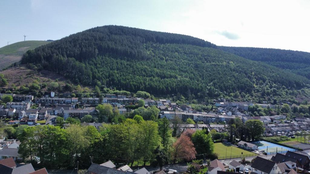 Dji fly 20250501 103918 524 1746092416253 photo op