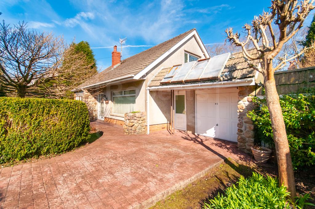Driveway and Garage