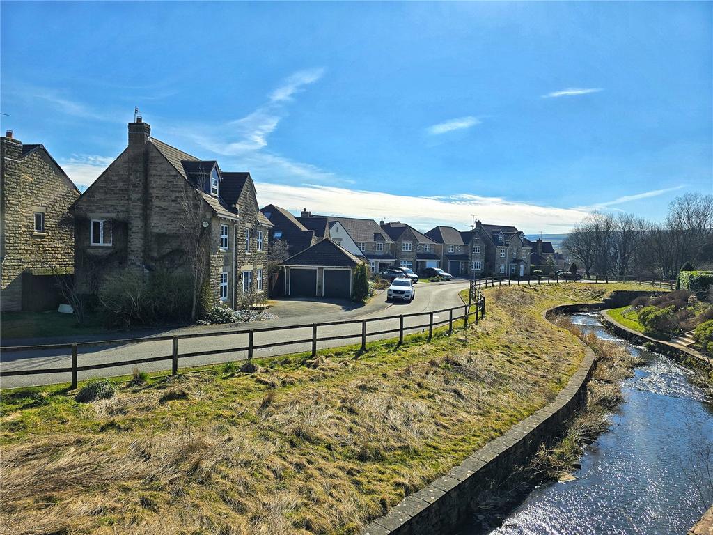 Opposite A Stream