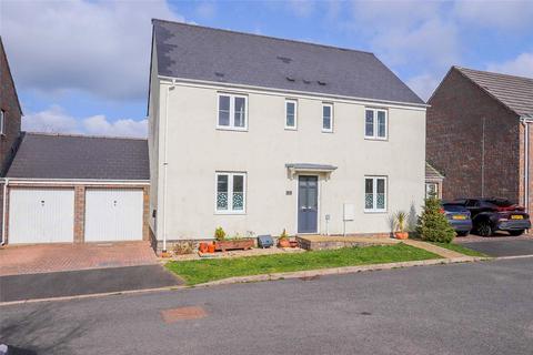 undefined, Okehampton, Devon