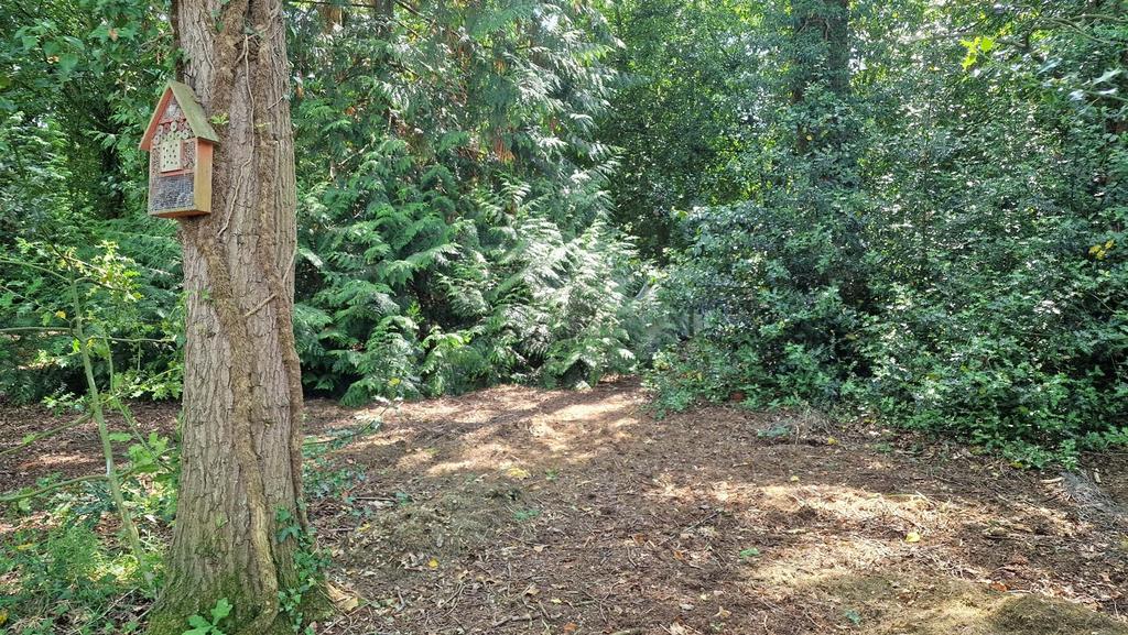 ENTRANCE TO WOODED AREA.jpg