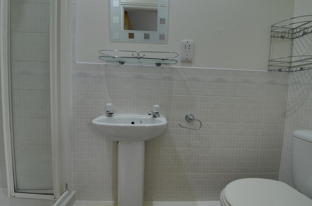 IMG 118 10 large.jpg