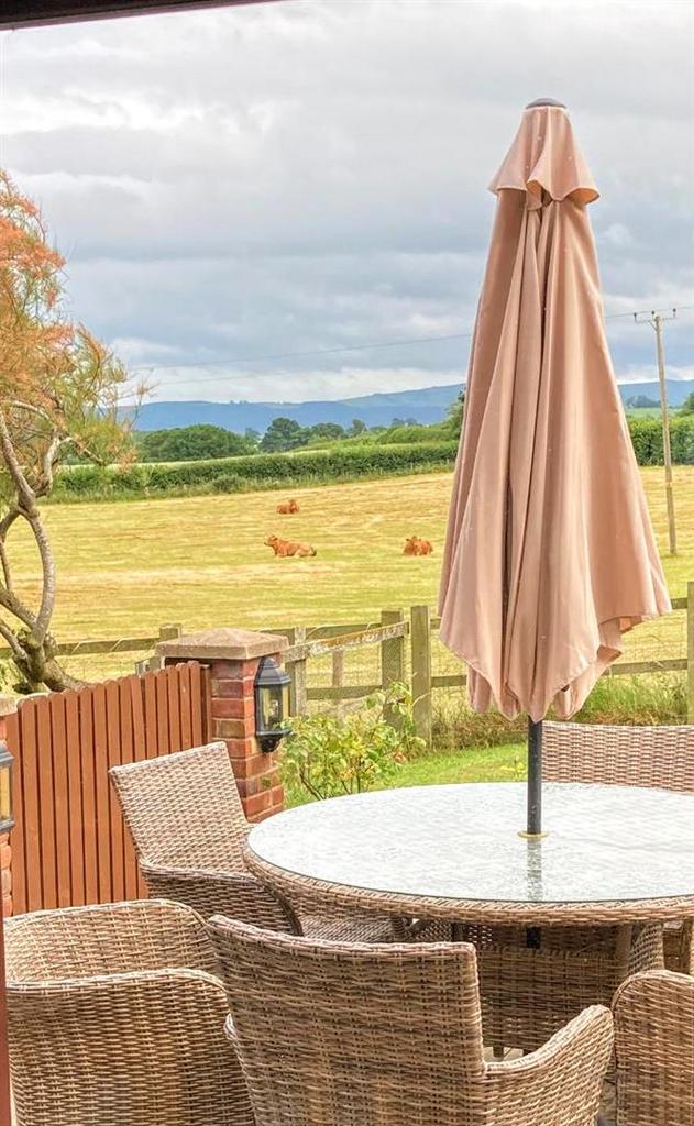 Patio view.jpg