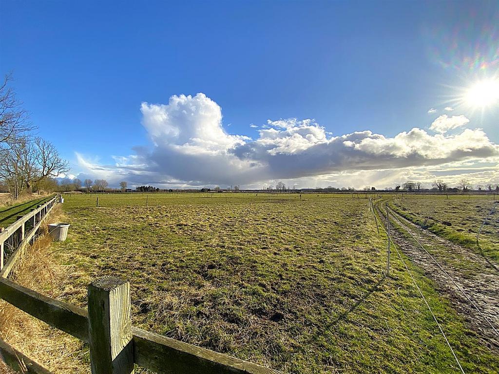 Paddocks.JPEG