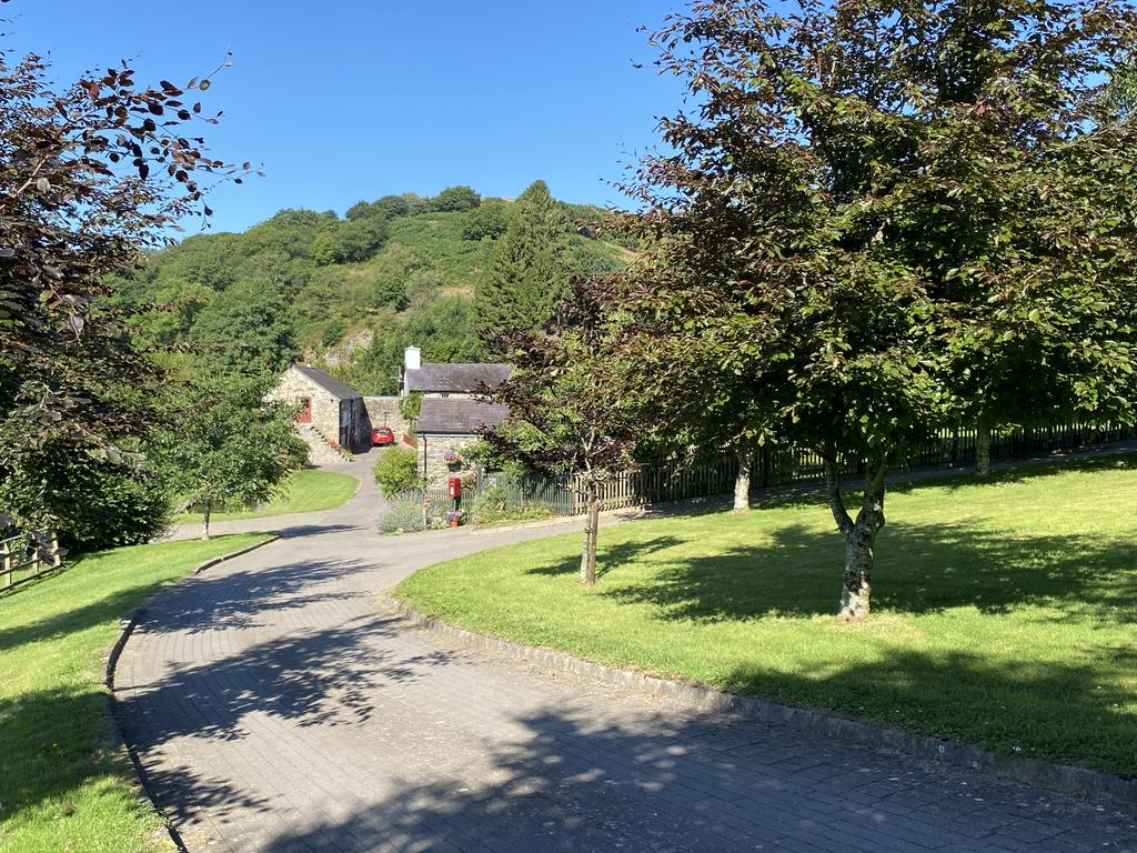 Parking and driveway