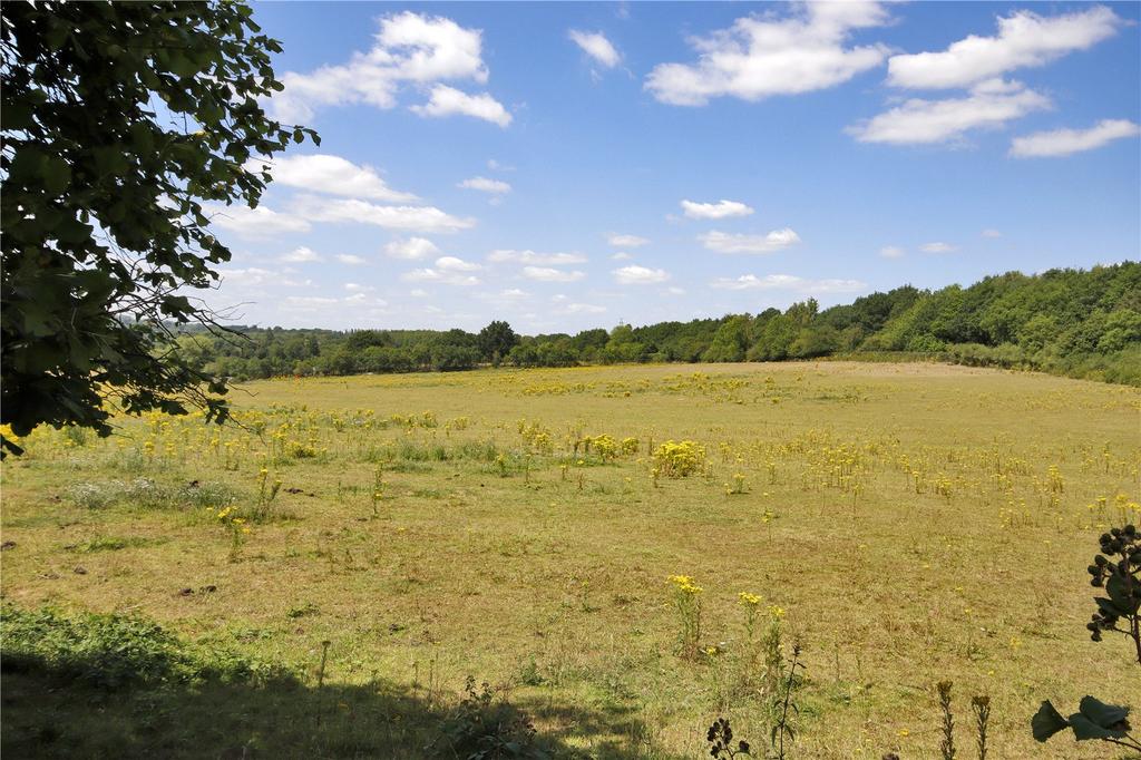 Fields To Front