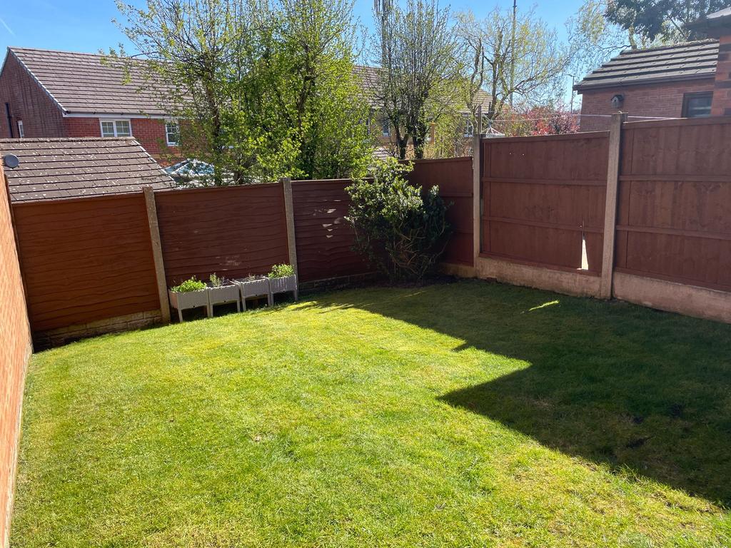 Back garden