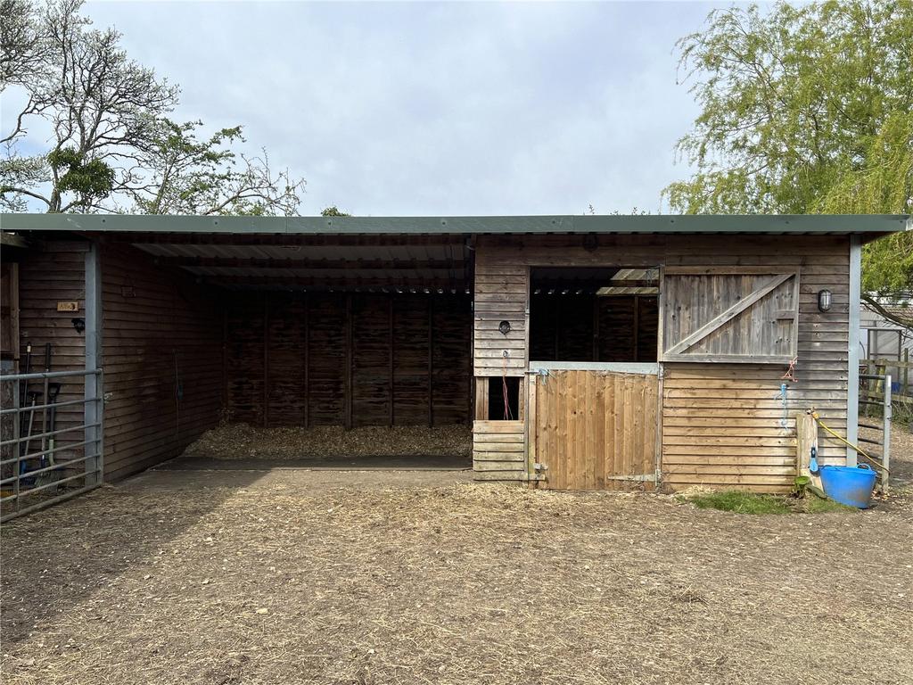 Equestrian