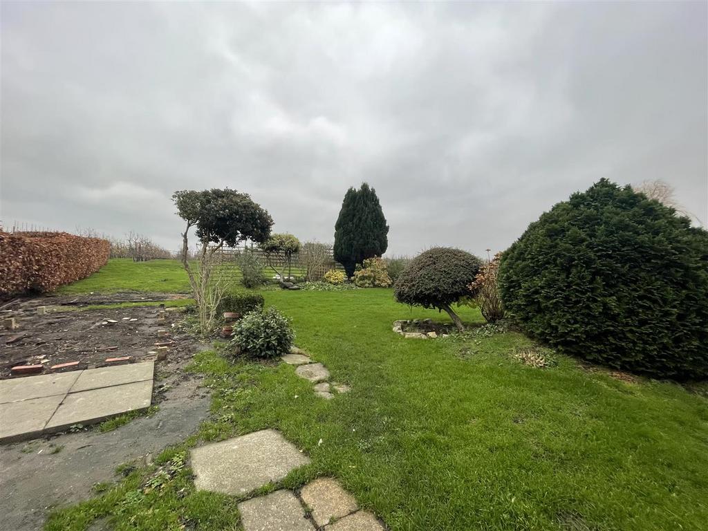 Rear garden.jpg