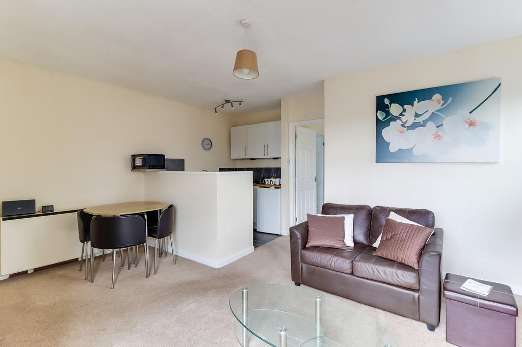 Open Plan Lounge/Dining/Kitchen