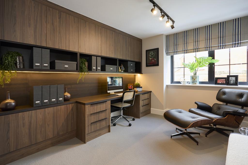 Plot 6 study area