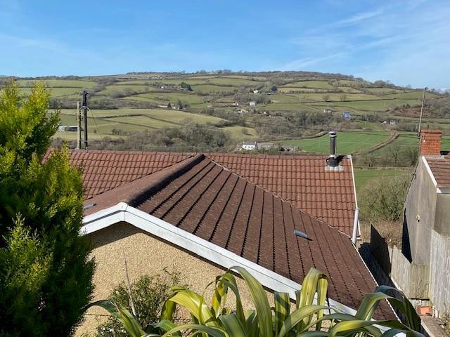 Views from the garden
