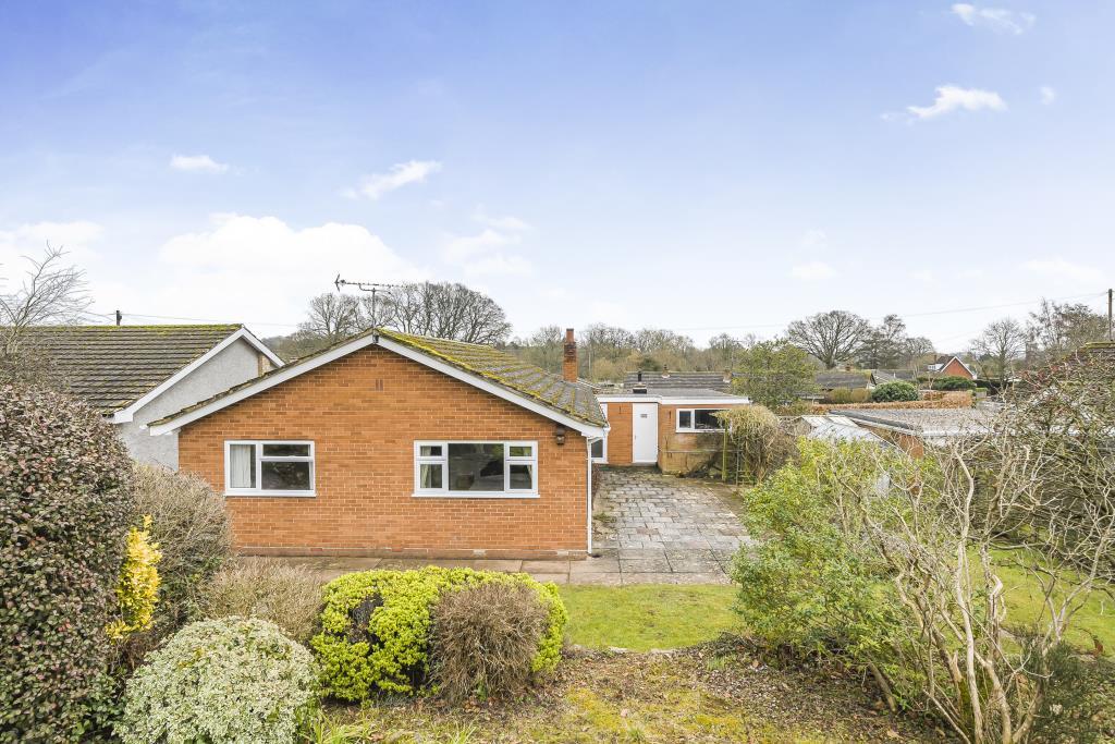 Photos
