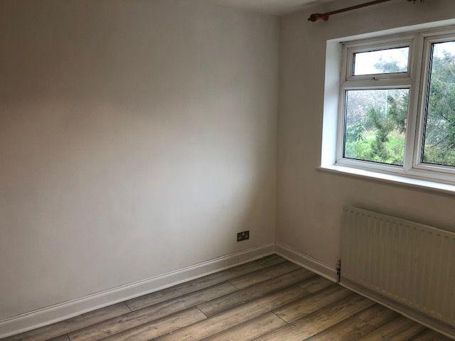 Pic 5