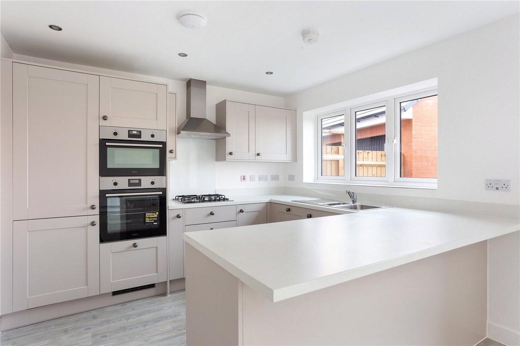 The Aster Kitchen