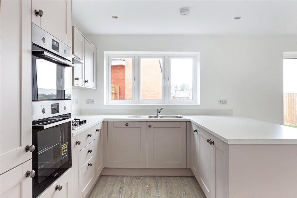The Aster Kitchen