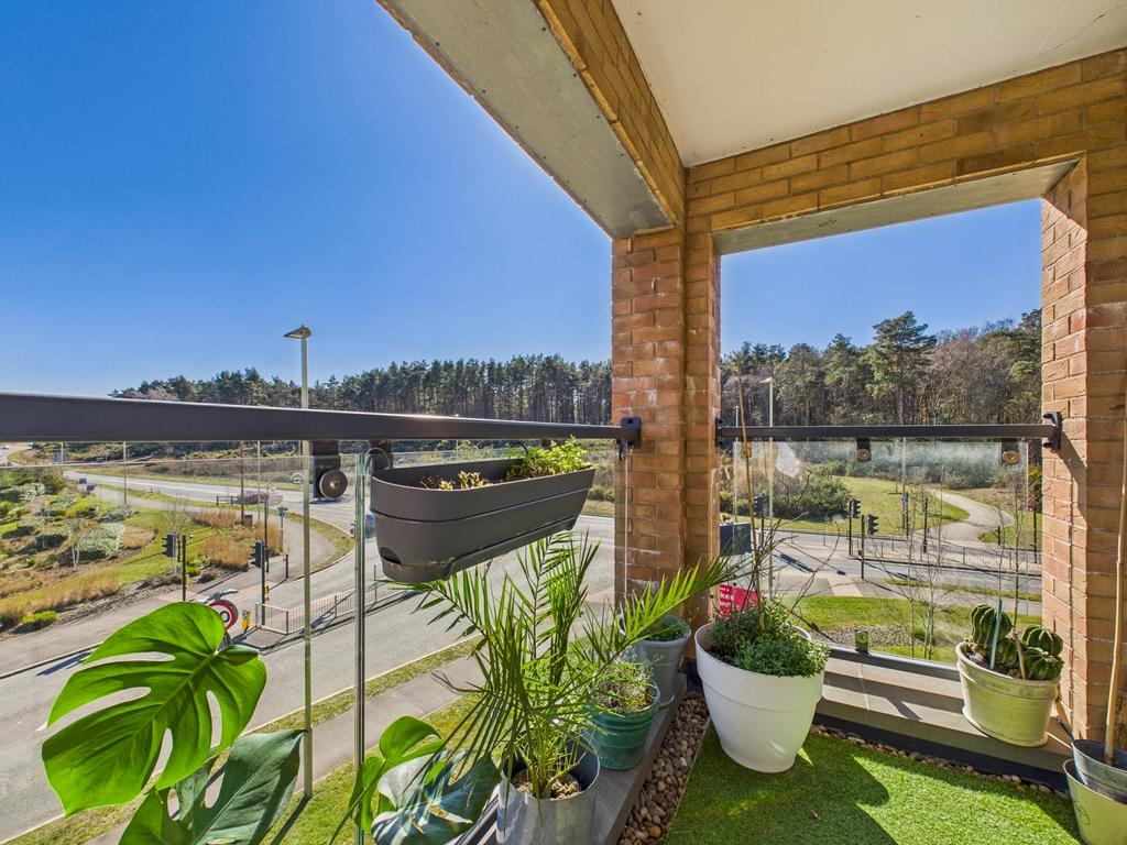 View from Balcony