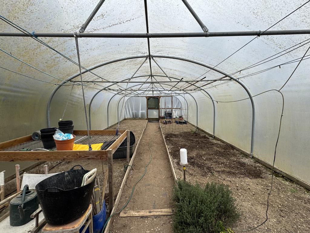 Polytunnel