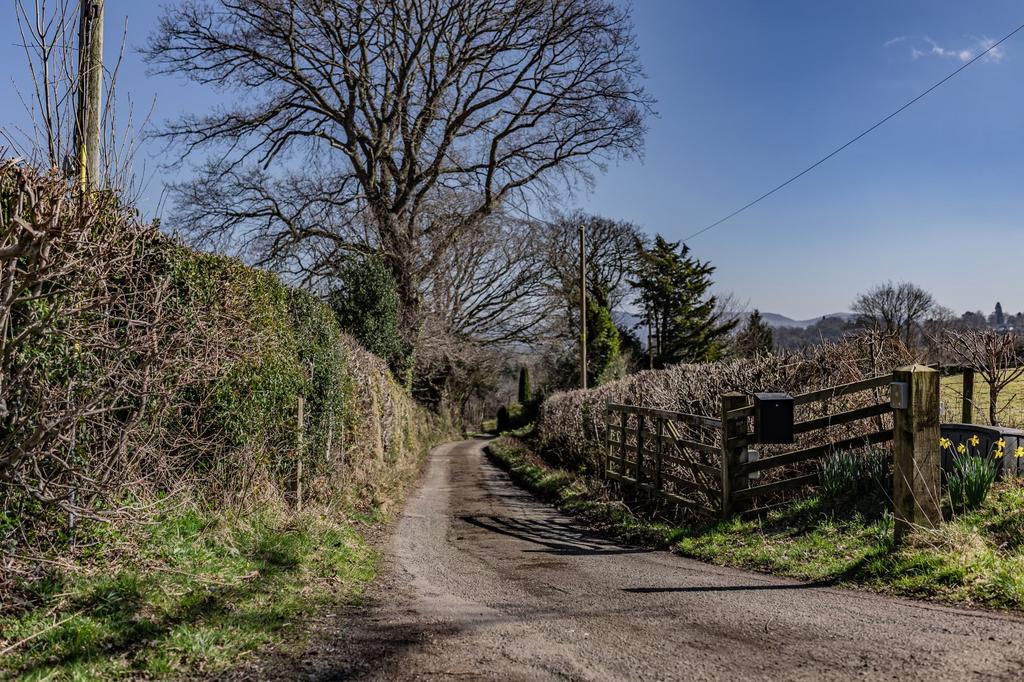 Driveway