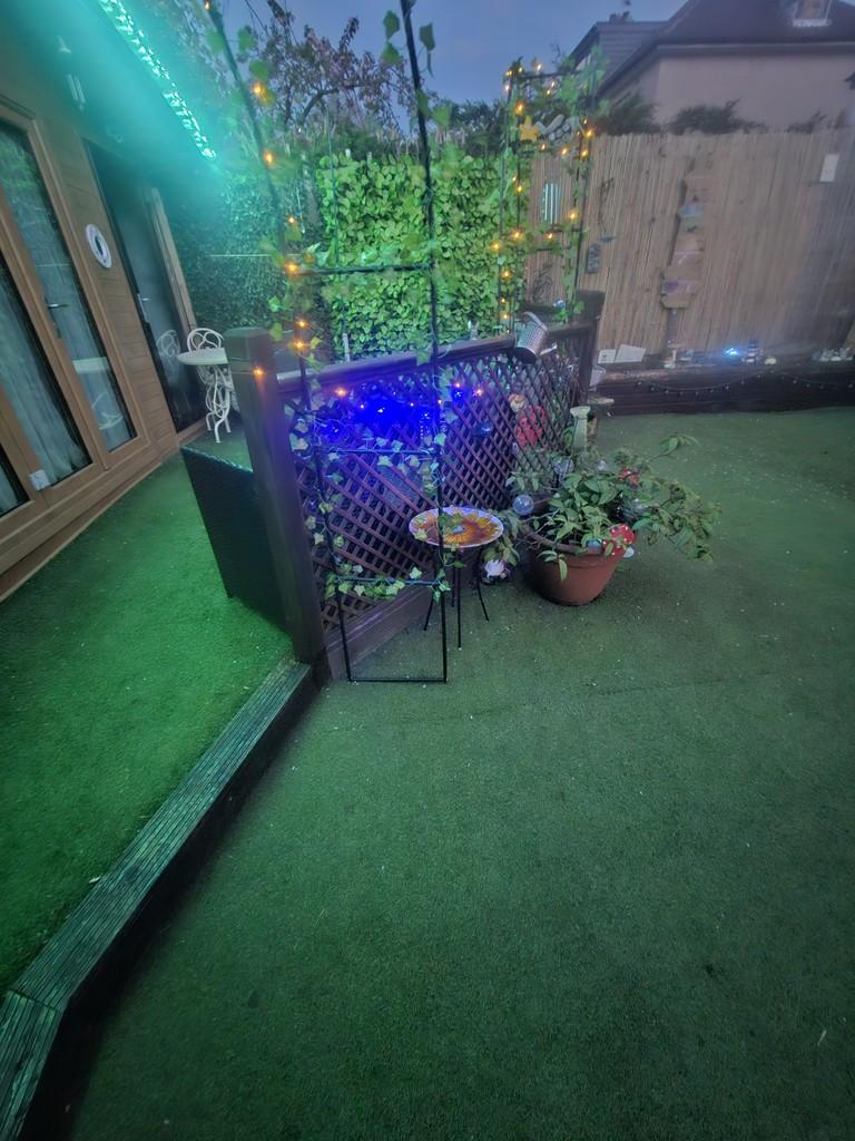 Garden 1
